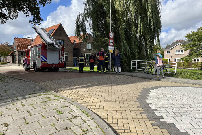 Brandweer haalt kat uit een boom