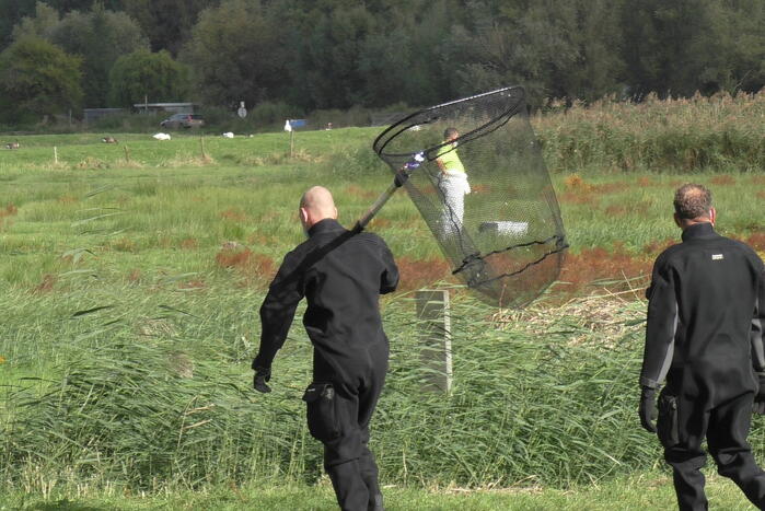 Ganzen met vogelgriep uit water gehaald