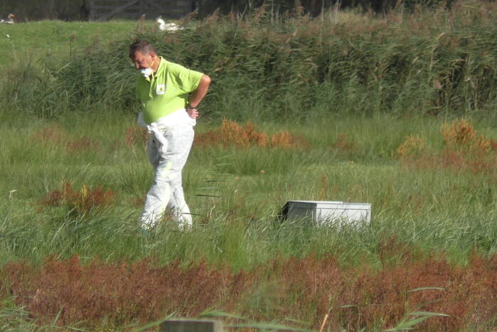 Ganzen met vogelgriep uit water gehaald
