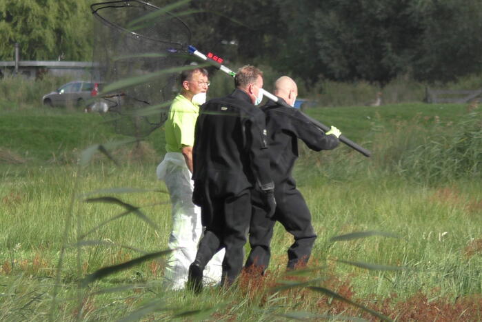 Ganzen met vogelgriep uit water gehaald