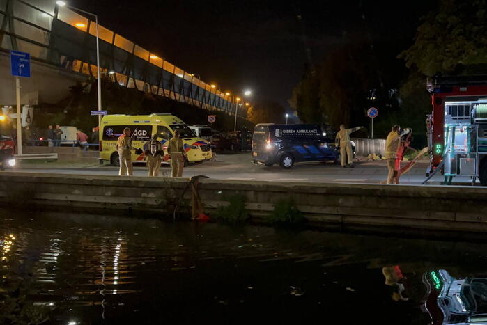 Grote uitslaande brand verwoest schuur