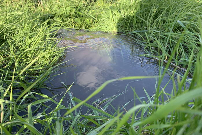 Waterlekkage door kapotte waterleiding