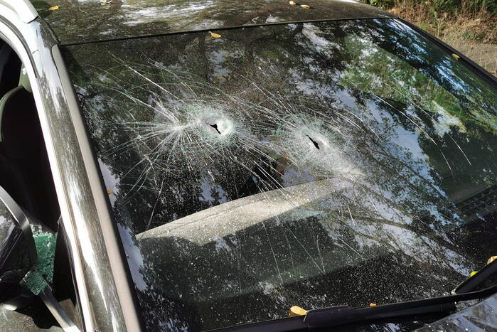 Twee auto's vernield, politie doet onderzoek