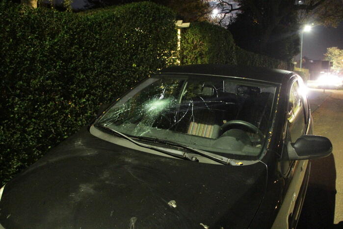 Fietser geschept bij oversteekplaats