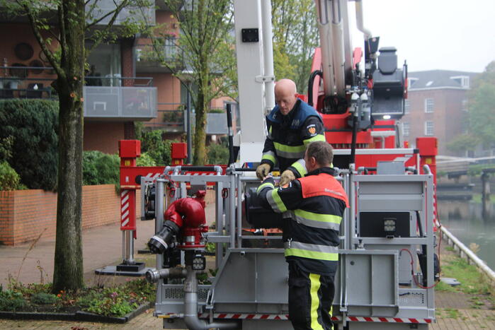 Kat Nala door brandweer uit boom gered