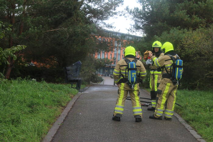 Houten bank afgebrand in park