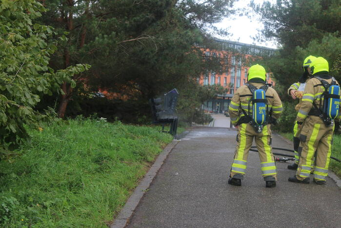 Houten bank afgebrand in park