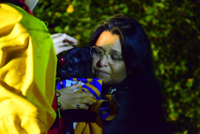 Vermiste hond van eiland gehaald door brandweer