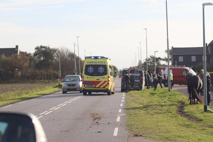 Zeer ernstig ongeval met paarden
