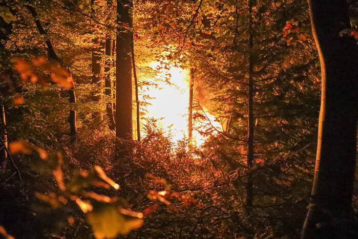 Caravan in achtertuin verwoest vanwege brand