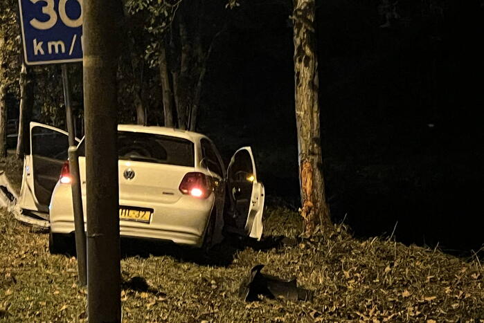 Automobilist vliegt uit de bocht en knalt tegen boom
