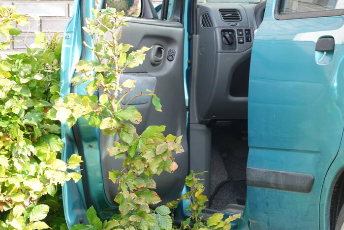 Automobilist eindigt tegen Aldi supermarkt