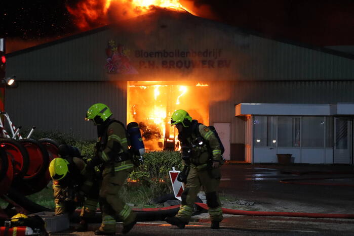 Enorme uitslaande brand bij bloembollenbedrijf
