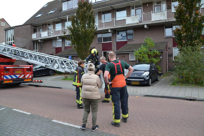 Kat van schoorsteen gehaald door brandweer