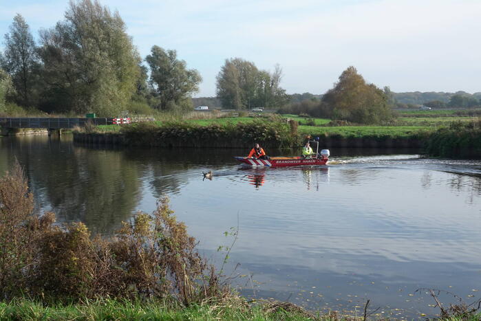 Reddingsactie voor gans in de problemen