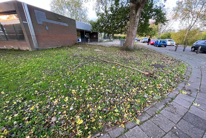 Gevaarlijk hangende tak verwijderd door brandweer