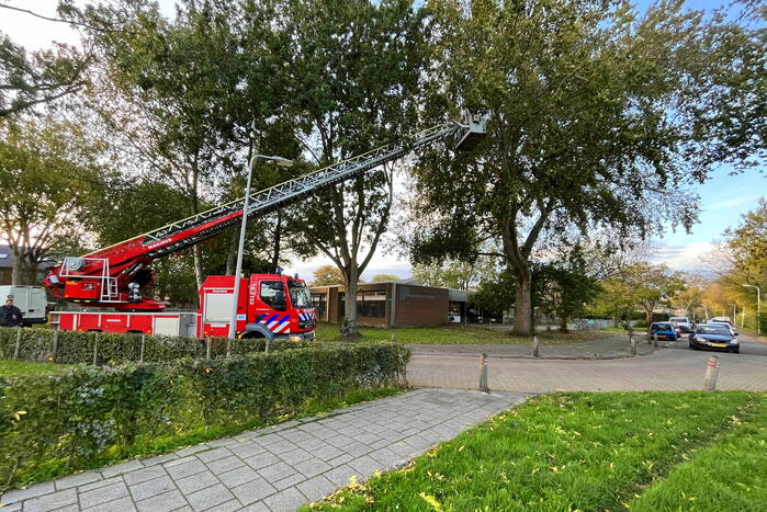 Gevaarlijk hangende tak verwijderd door brandweer