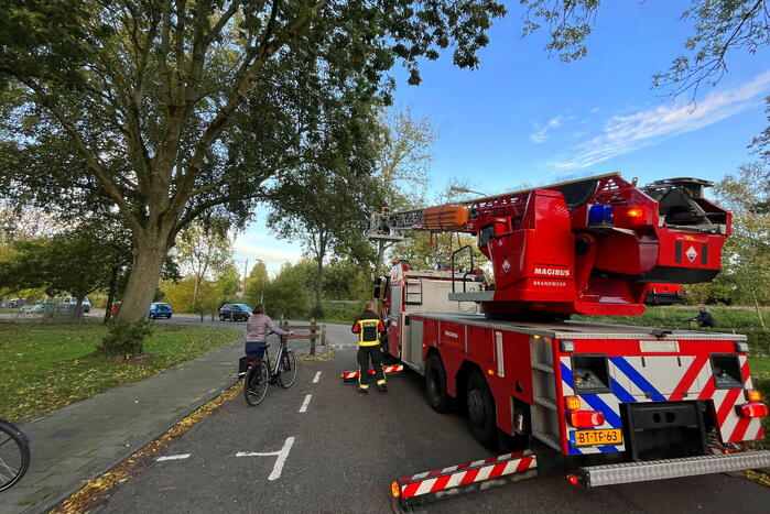Gevaarlijk hangende tak verwijderd door brandweer