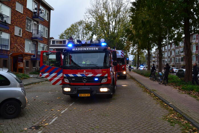 Oven in brand in flatwoning