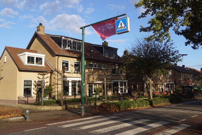 Vlaggen van IJsselmeervogels opgehangen