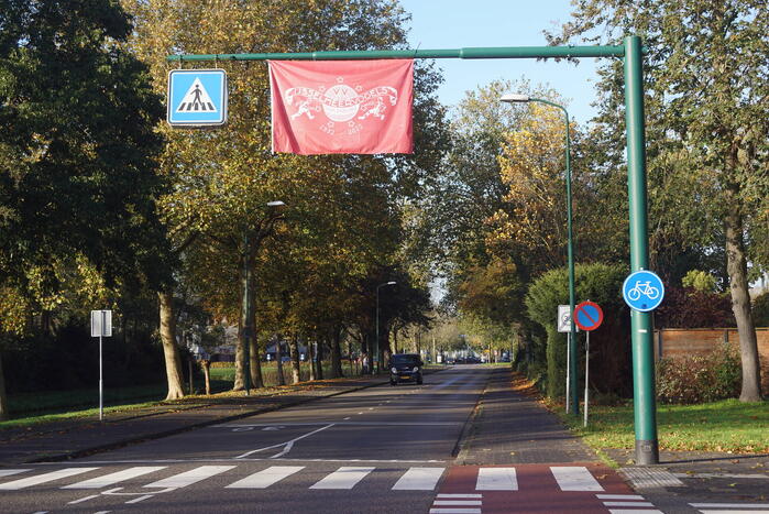 Vlaggen van IJsselmeervogels opgehangen