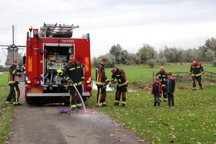Brandweer haalt koe uit de sloot