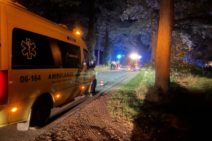 Bestuurder botst frontaal op boom