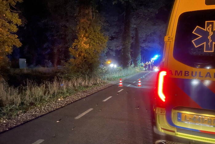 Bestuurder botst frontaal op boom