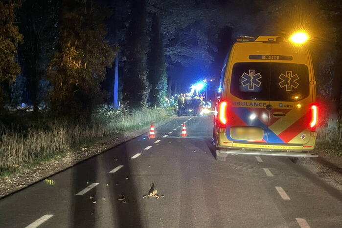 Bestuurder botst frontaal op boom