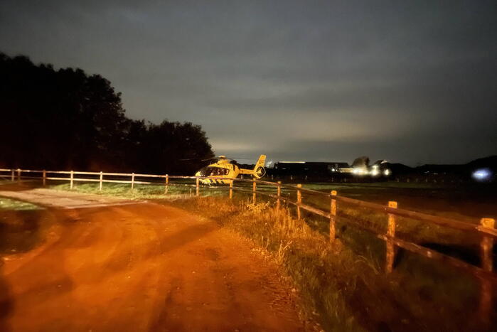 Bestuurder botst frontaal op boom