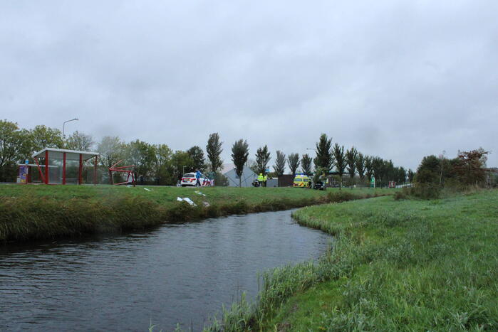 Automobilist ramt bushokje en boom