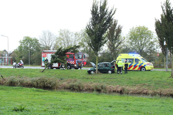 Automobilist ramt bushokje en boom
