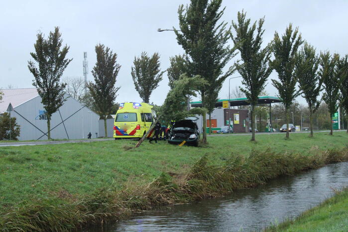 Automobilist ramt bushokje en boom