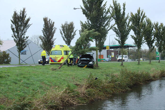Automobilist ramt bushokje en boom