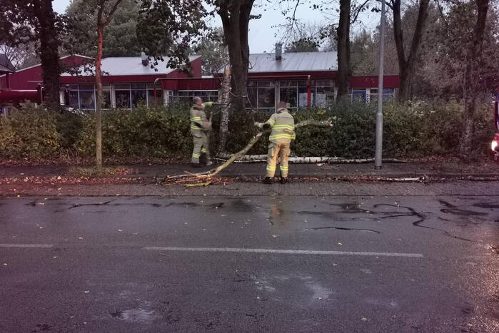 Stormschade zorgt voor takken op rijbaan