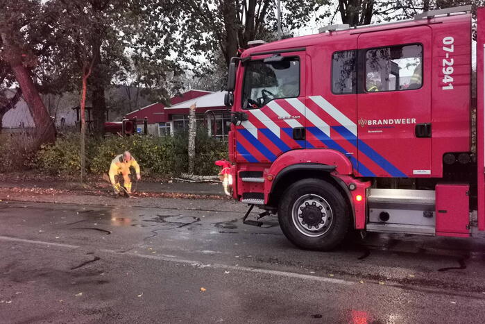 Stormschade zorgt voor takken op rijbaan