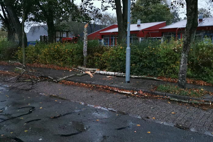 Stormschade zorgt voor takken op rijbaan