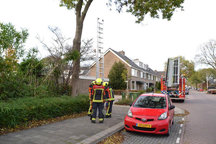Gevaarlijk hangende tak verwijderd