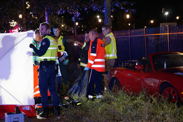 Automobilist overleden na ongeval met boom