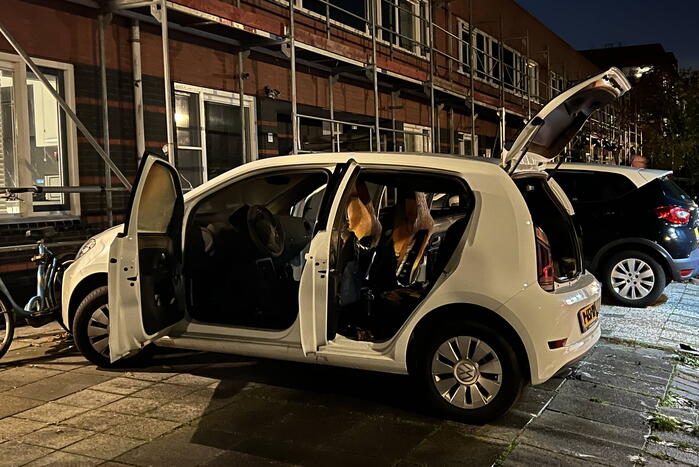 Personenwagen loopt flinke schade op door brand