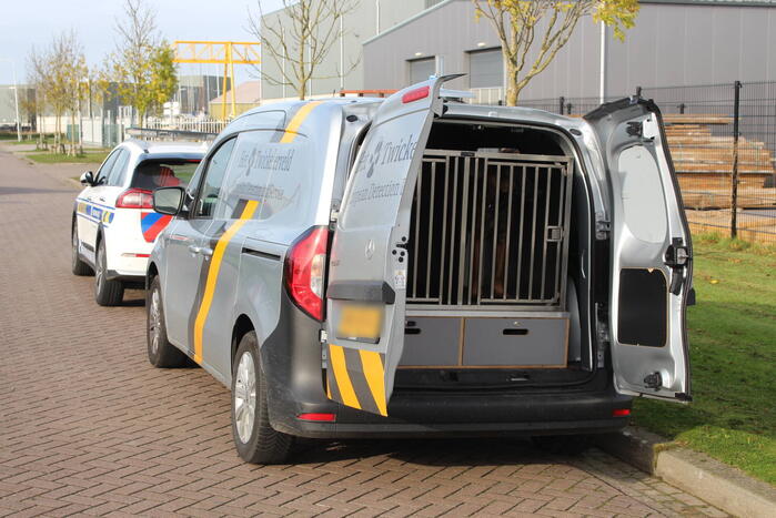 Preventieve drugscontrole bij loodsen op industrieterrein