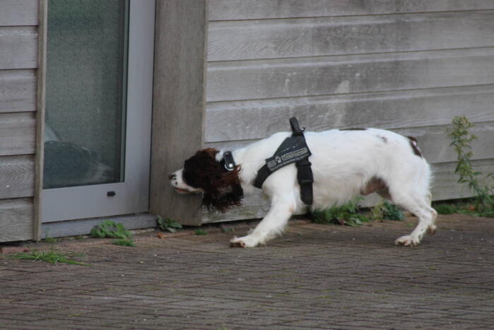 Preventieve drugscontrole bij loodsen op industrieterrein