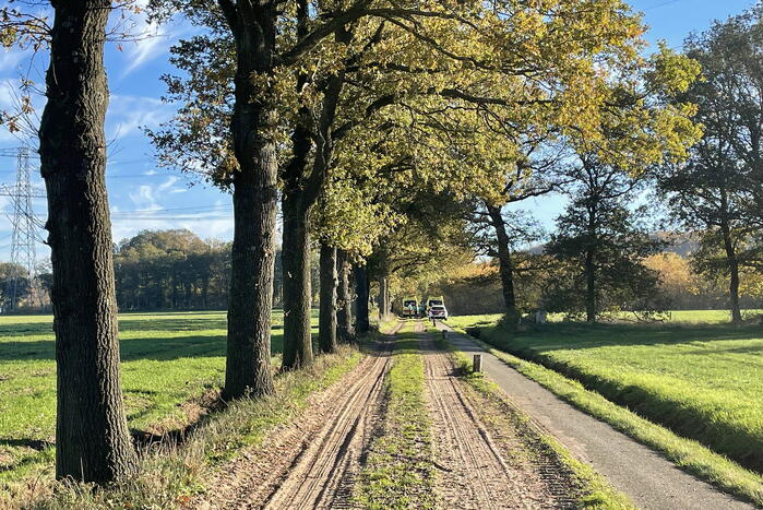 Wielrenner gewond bij botsing