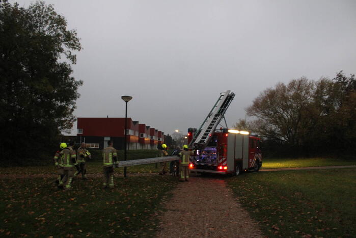 Kat na twee dagen uit boom gehaald
