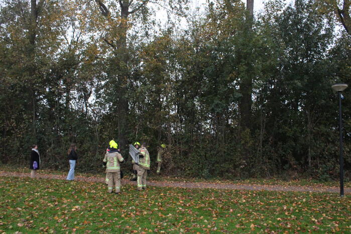 Kat na twee dagen uit boom gehaald