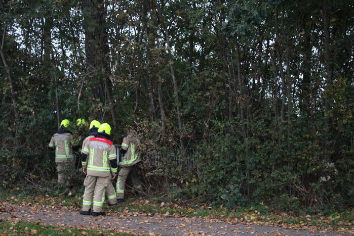 Kat na twee dagen uit boom gehaald