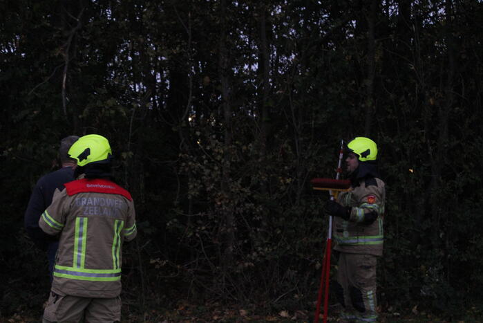 Kat na twee dagen uit boom gehaald
