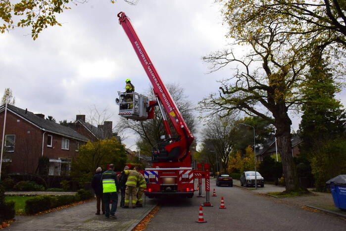 Vastzittende kauw uit schoorsteen gehaald