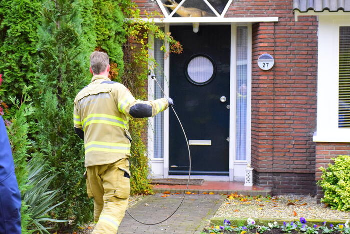 Vastzittende kauw uit schoorsteen gehaald