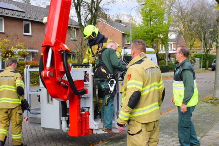 Vastzittende kauw uit schoorsteen gehaald